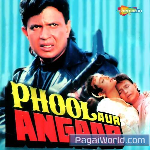 Hum Teri Mohabbat Me Poster