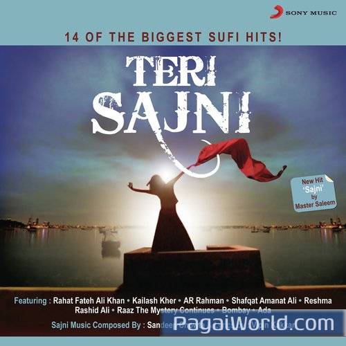 Humein Tumse Pyar Kitna Humein Tumse Pyar Kitna Poster