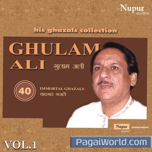 Hungama Hai Kyon Hungama Hai Kyon Poster
