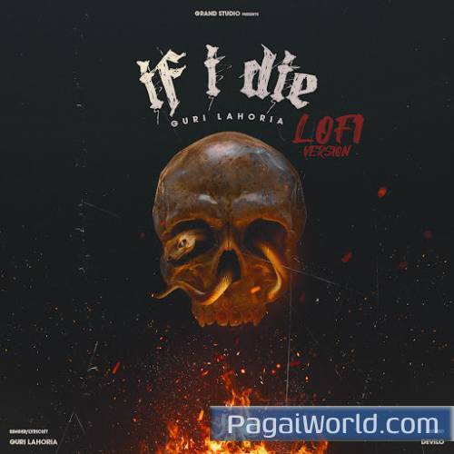 If I Die (Slowed Reverb) Poster