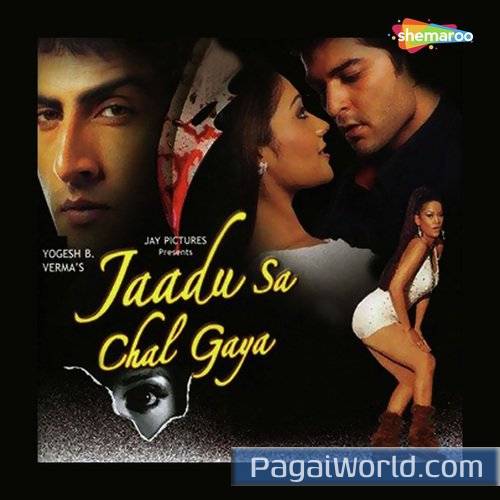 Jaadu Sa Chal Gaya Jaadu Sa Chal Gaya Poster