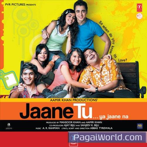 Jaane Tu Mera Kya Hai Poster
