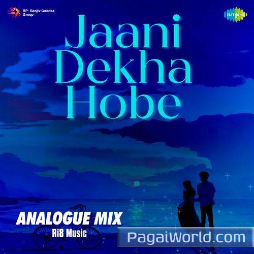 Jaani Dekha Hobe Analogue Mix Jaani Dekha Hobe Analogue Mix Poster