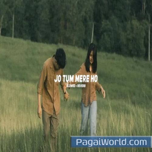 Jo Tum Mere Ho Slowed Reverb Jo Tum Mere Ho Slowed Reverb Poster