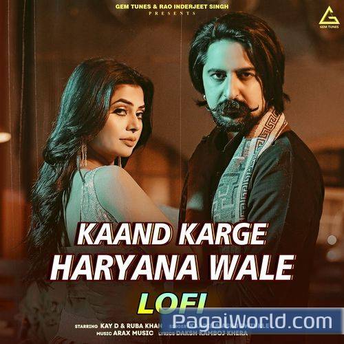 Kaand Karge Haryana Wale LOFI Kaand Karge Haryana Wale LOFI Poster