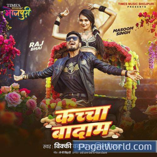 Kacha Badam Kacha Badam Poster
