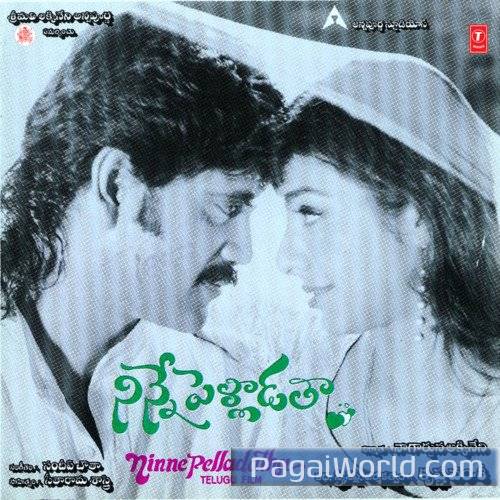 Kannullo Nee Roopame Poster