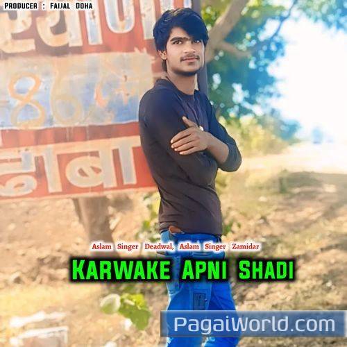 Karwake Apni Shadi Karwake Apni Shadi Poster