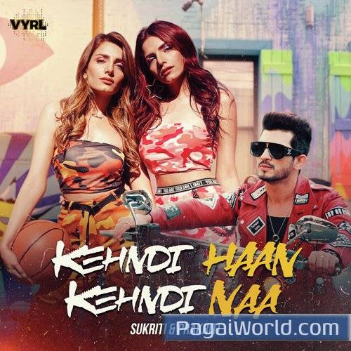 Kehndi Haan Kehndi Naa Kehndi Haan Kehndi Naa Poster