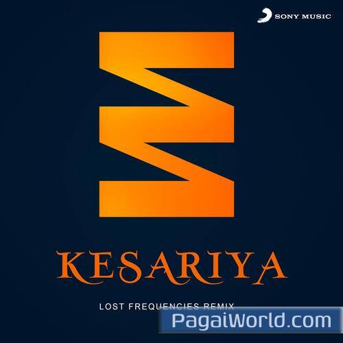 Kesariya Lost Frequencies Remix Poster