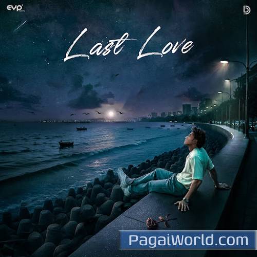 Last Love Poster