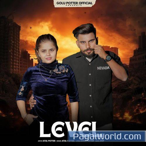 Level Level Poster