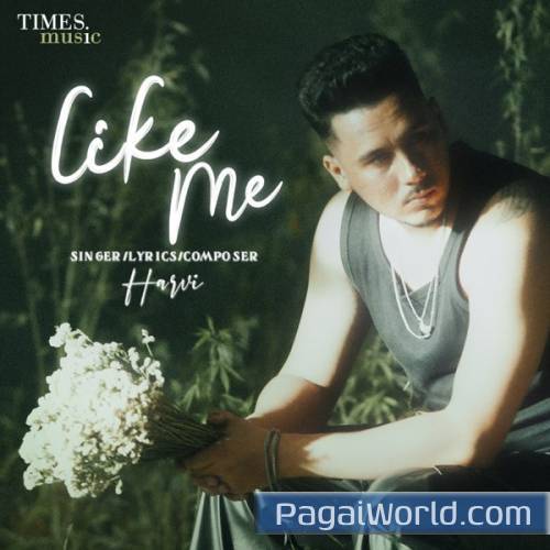 Like Me Poster