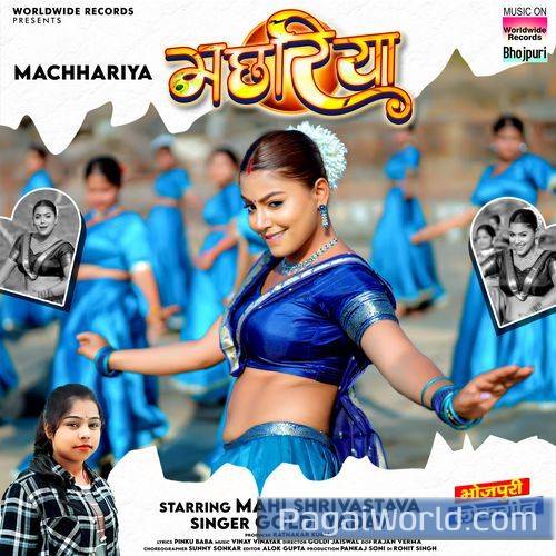Machhariya Poster