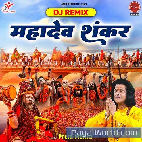 Mahadev Shankar DJ Remix Poster