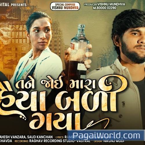 Mahesh Vanzaragopal Bharwad Tane Joi Mara Poster