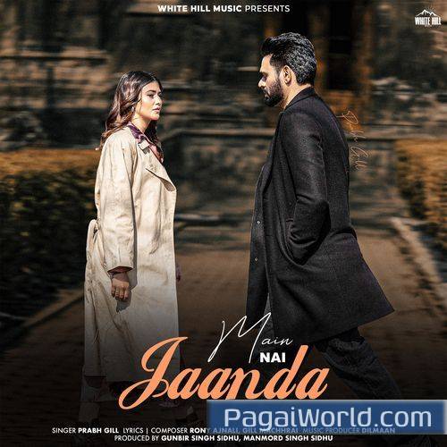 Main Ni Jaanda Main Ni Jaanda Poster