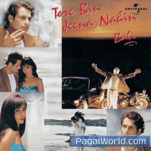 Main Tera Deewana Hua Main Tera Deewana Hua Poster