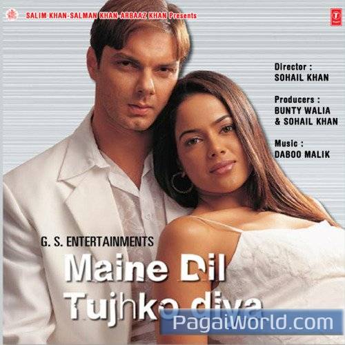 Maine Dil Tujhko Diya Maine Dil Tujhko Diya Poster