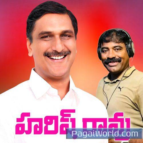 Manasunna Maa Raju Harish Anna Manasunna Maa Raju Harish Anna Poster