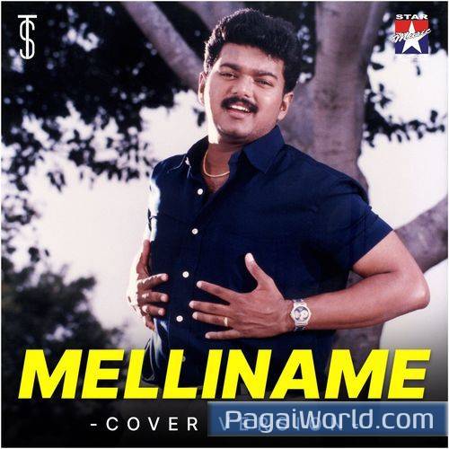 Melliname Melliname Poster