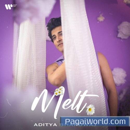 Melt Poster