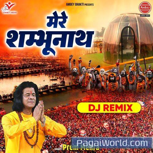 Mere Shambhu Nath DJ Remix Poster