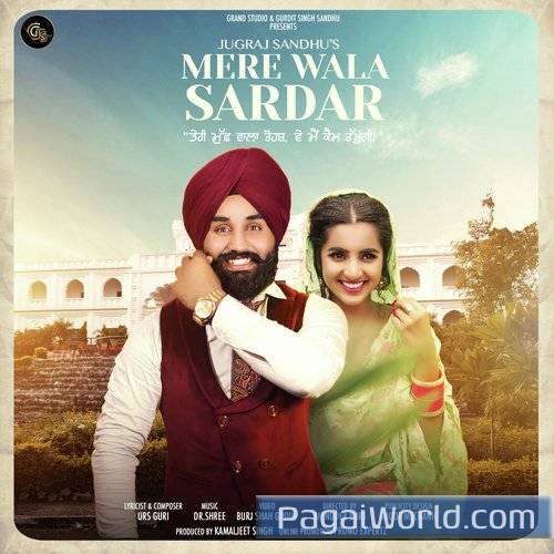 Mere Wala Sardar Poster