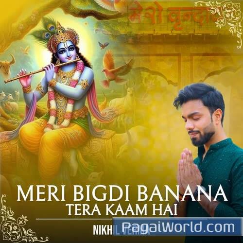 Meri Bigdi Banana Tera Kaam Hai Poster