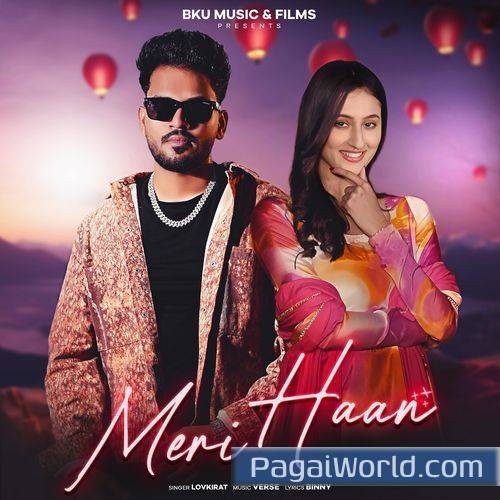 Meri Haan Meri Haan Poster