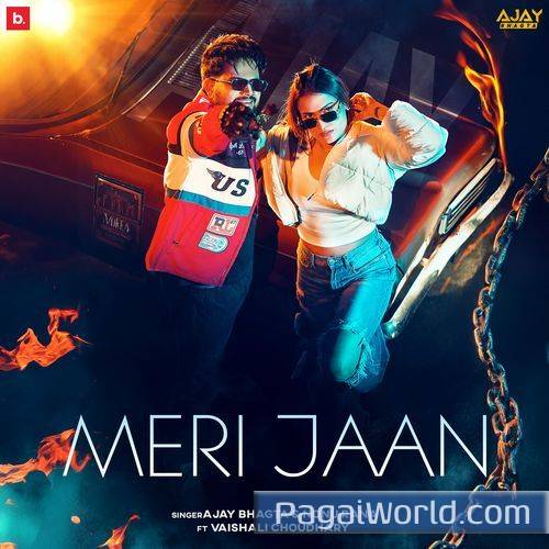 Meri Jaan Meri Jaan Poster