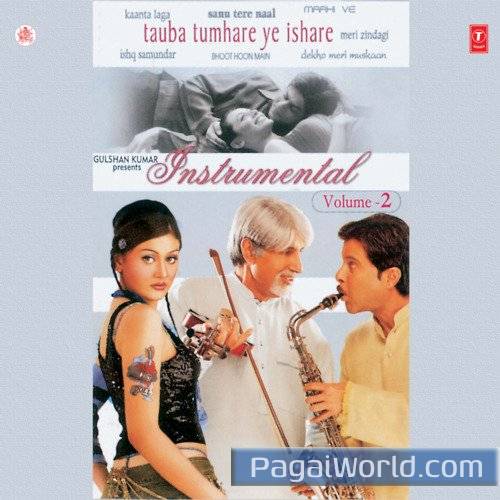 Meri Zindagi Meri Zindagi Poster