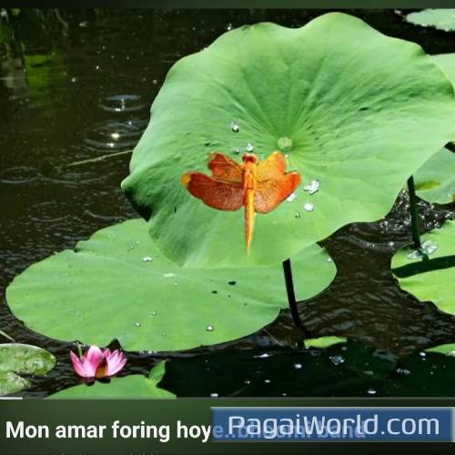 Mon Amar Foring Hoye. Poster