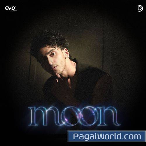 Moon Moon Poster