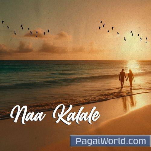 Naa Kalale Poster