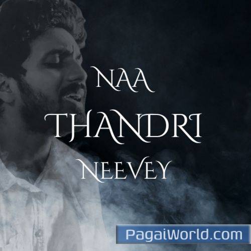 Naa Thandri Neevey Naa Thandri Neevey Poster
