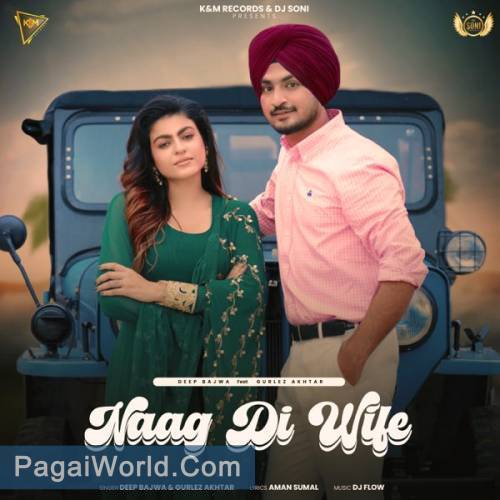 Naag Di Wife Naag Di Wife Poster