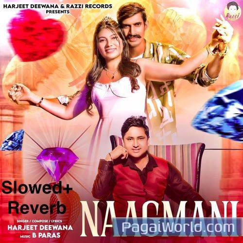 Naagmani SlowedReverb Naagmani SlowedReverb Poster