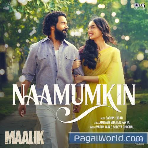 Naamumkin Naamumkin Poster