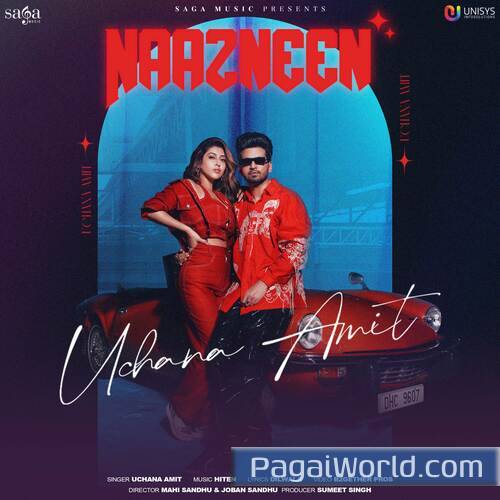 Naazneen Naazneen Poster