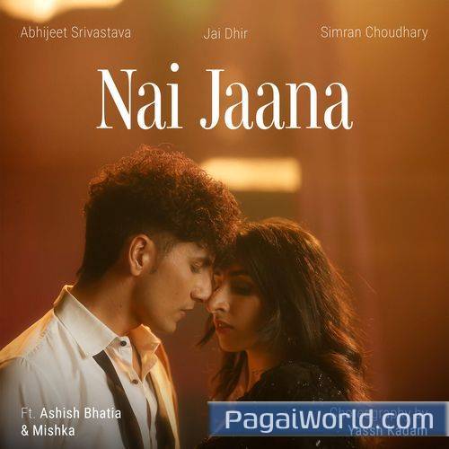 Nai Jaana Nai Jaana Poster