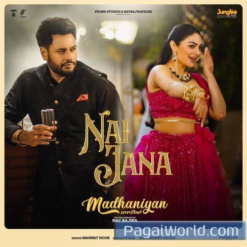 Nai Jana From Madhaniyan Nai Jana From Madhaniyan Poster