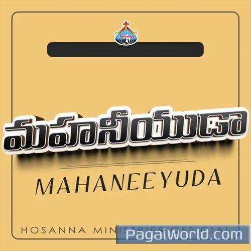Nee Krupa Naku Chalunu Nee Krupa Naku Chalunu Poster