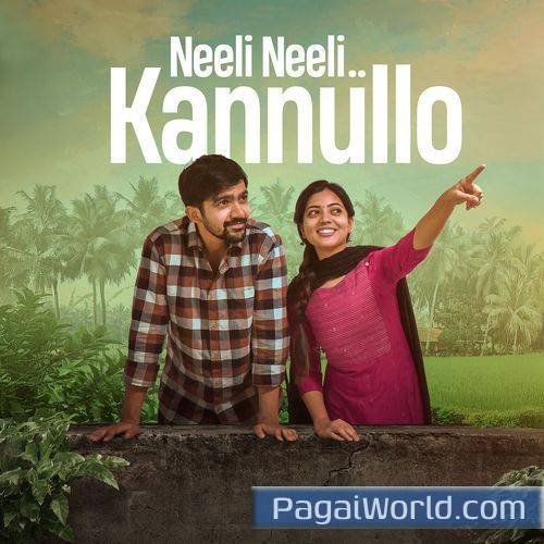 Neeli Neeli KannulloOriginal Motion Picture Soundtrack Neeli Neeli KannulloOriginal Motion Picture Soundtrack Poster