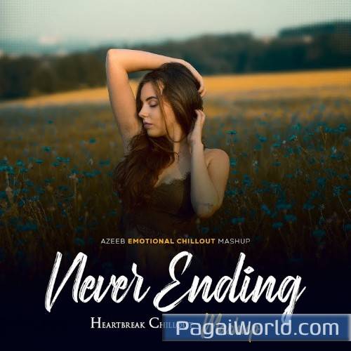 Never Ending Mashup 2025 Poster