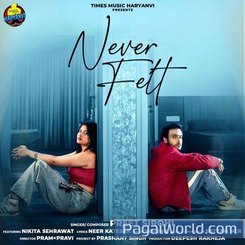 Never Felt Never Felt Poster
