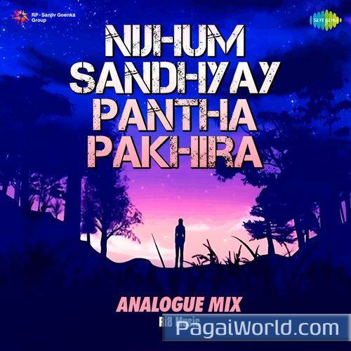 Nijhum Sandhyay Pantha Pakhira Analogue Mix Nijhum Sandhyay Pantha Pakhira Analogue Mix Poster
