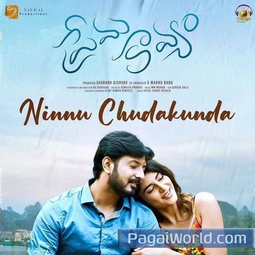 Ninnu Chudakunda Ninnu Chudakunda Poster