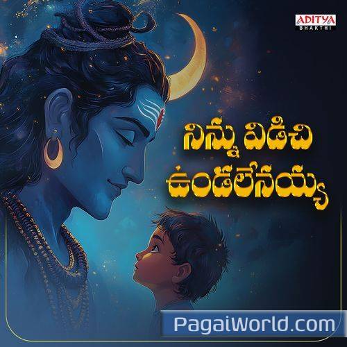 Ninnu Vidichi Undalenayya Poster