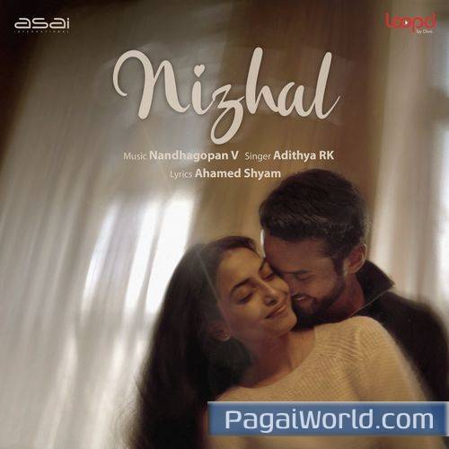 Nizhal Poster